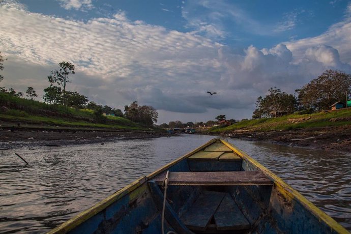 Archivo - Amazonía colombiana