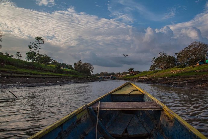 Archivo - August 27, 2016 - Leticia, Amazonas - We analyze the use of forest products and services for income generation among indigenous households in the Colombian Amazon. We find that families rely on a wide portfolio of market and subsistence activi