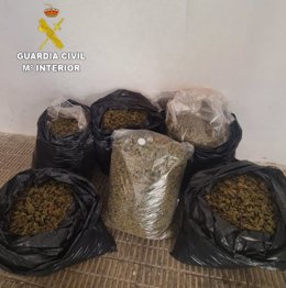 Desmantelado un punto de cultivo de marihuana en Alcalà de Xivert