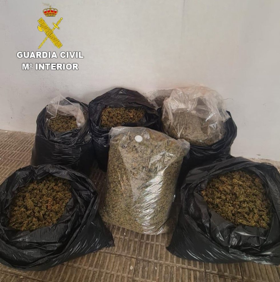 Desmantelado un punto de cultivo de marihuana en Alcal de Xivert