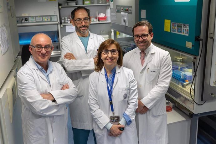 De izq. A dcha., el Dr. Enrique Andreu, investigador del Área de Terapia Celular; el Dr. Enrique Ornilla, especialista del Servicio de Reumatología; la Dra. Susana Inogés, especialista en Inmunología, y el Dr. José María Mora, especialista en Nefrología.