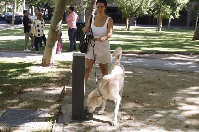 Archivo - Madrid cuenta con 60 nuevas fuentes de agua potable repartidas en 16 distritos de la ciudad