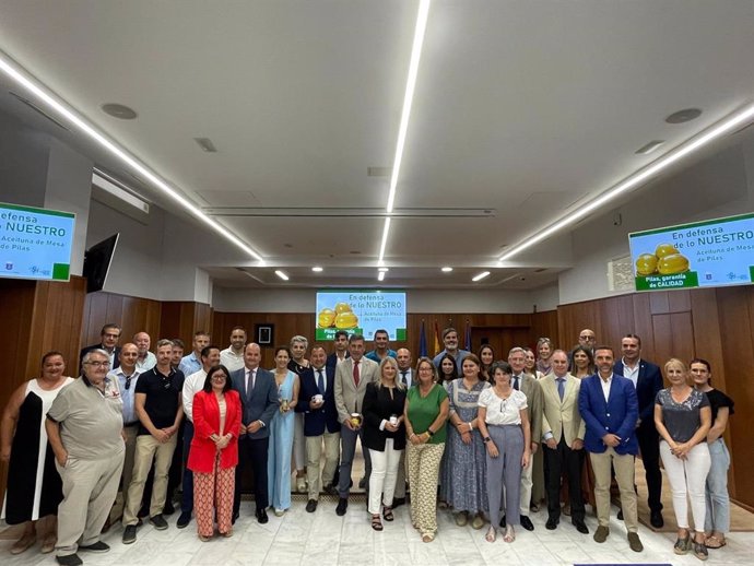 Declaración institucional en apoyo a la aceituna de mesa, con representantes del Gobierno local y andaluz, en un acto celebrado en Pilas.