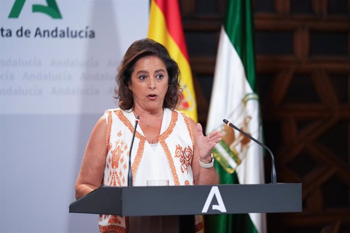 La consejera de Salud y Consumo, Catalina García, en la rueda de prensa posterior al Consejo de Gobierno del 9 de julio de 2024.