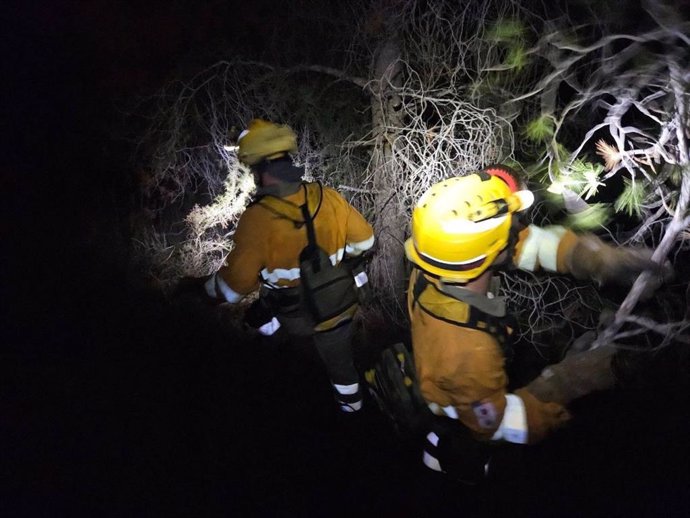 Efectivos del Plan Infomur trabajan en la extinción del incendio