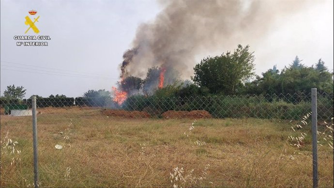 Imagen del incendio forestal en Lora del Río (Sevilla).