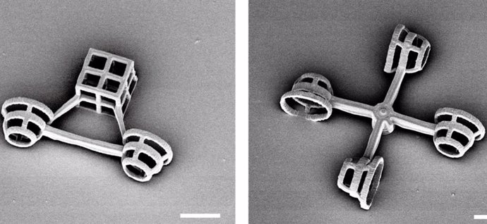 Imágenes De Microscopio Electrónico De Barrido De Las Dos Micromáquinas.