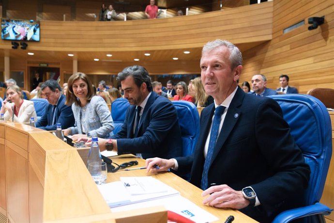 El presidente de la Xunta, Alfonso Rueda, en la sesión de control del Parlamento gallego.