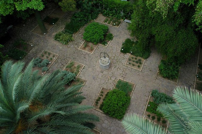 Jardín medicinal