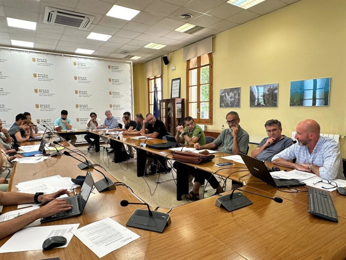 Agricultura aumentará la ayuda asociada a la almendra y la algarroba hasta los 1,5 millones de euros.