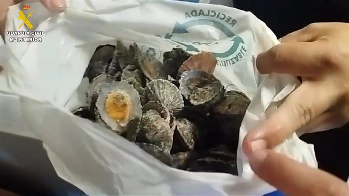 Lapas intervenidas en un restaurante en Los Llanos de Aridane