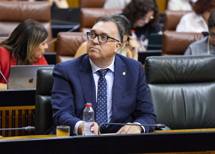 El consejero de Turismo, Cultura y Deporte, Arturo Bernal, en el Pleno del Parlamento andaluz.