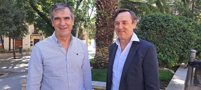 El parlamentario nacional del PP por Guadalajara, Antonio Román y el portavoz adjunto del Grupo Popular en el Congreso, Rafael Hernando.