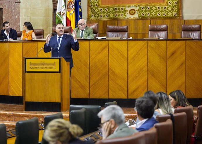 El consejero de Turismo, Cultura y Deporte, Arturo Bernal, en el Pleno del Parlamento andaluz.