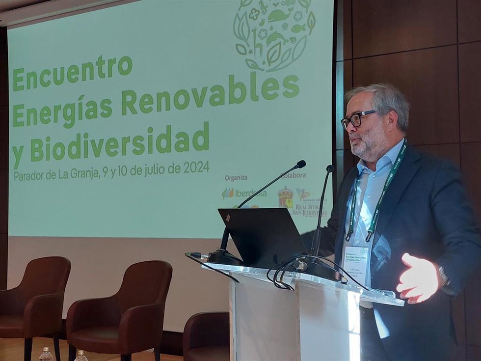 El CEO de Iberdrola Renovables, Julio Castro.