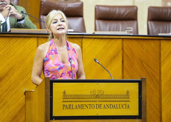 La consejera de Desarrollo Educativo, Patricia del Pozo, este miércoles durante su comparecencia en el Pleno del Parlamento.