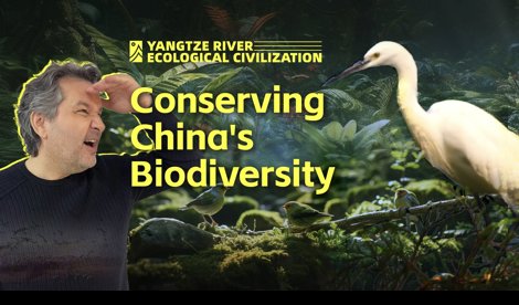 Comunicados Internacional