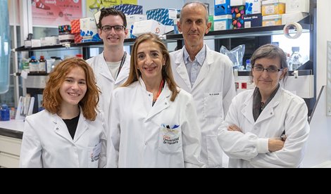 Investigación