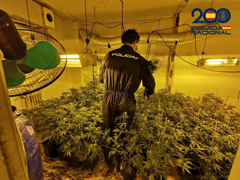 La Policía Nacional desmantela dos plantaciones "indoor" de marihuana en la ciudad de Albacete.