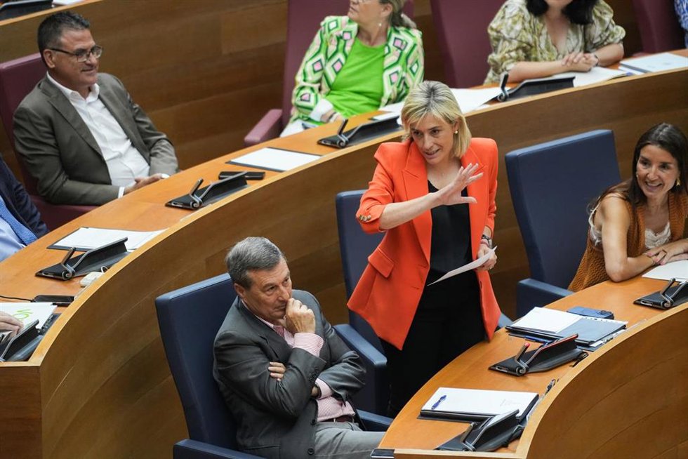 La consellera de Justicia, Elisa Núñez, en el pleno del Consell