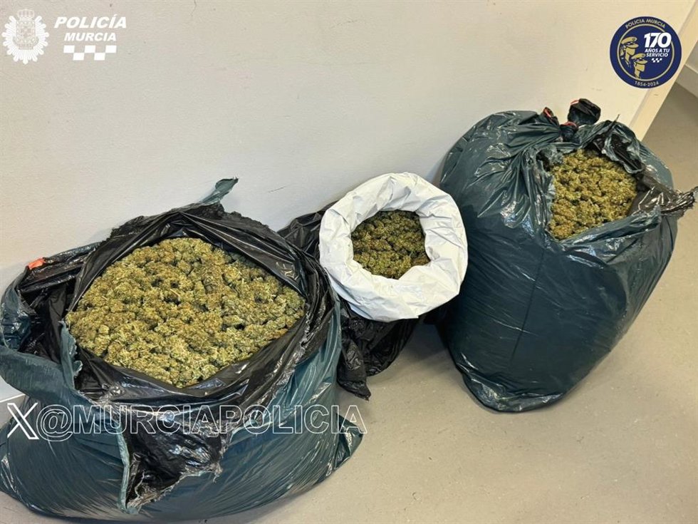 Imagen de la droga intervenida por la Policía Local de Murcia