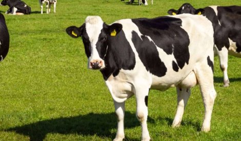 Comunicados Empresas