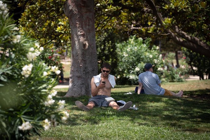 Archivo - Una persona sota un arbre al parc de la Ciutadella