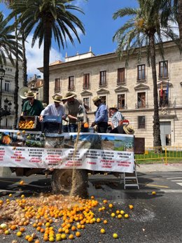 AVA-Asaja y COAG protestan contra el "fracaso" del Gobierno de España a la hora de dar reciprocidad y exigen una "forma digna" de trabajar