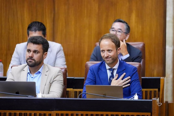 Archivo - El diputado del PP-A y presidente del PP de Jaén, Erik Domínguez, en una foto de archivo en el Parlamento andaluz.