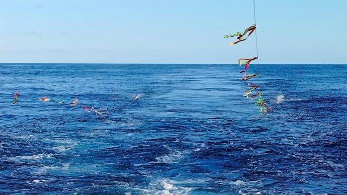 SEO/BirdLife ha presentando este viernes a organizaciones pesqueras un proyecto desarrollado en 2023 para reducir las capturas accidentales de aves marinas en la flota de palangre de superficie.