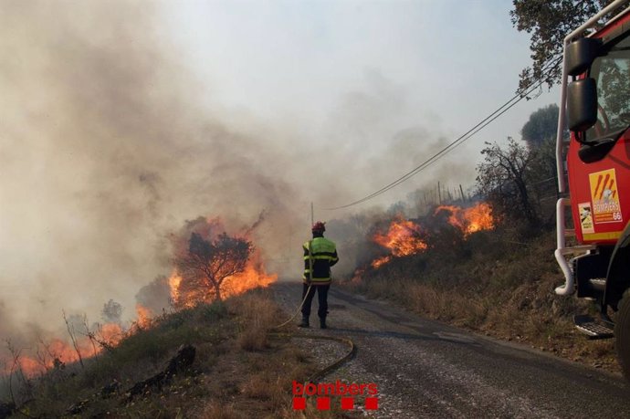 Archivo - Bombers treballant en un incendi en una imatge d'arxiu