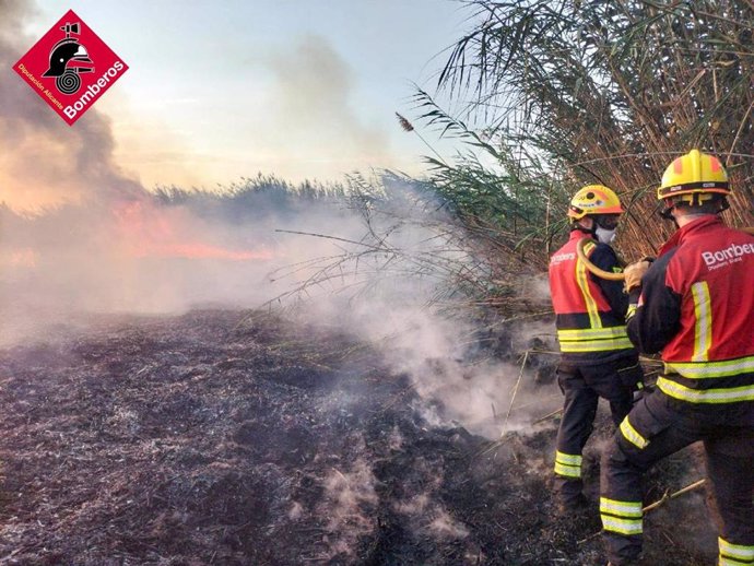 Incendio de un palmeral en Albatera (Alicante)