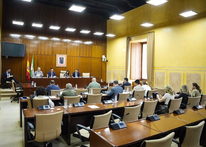 Sesión de la comisión de Universidad, Investigación e Innovación en el Parlamento andaluz. (Foto de archivo).