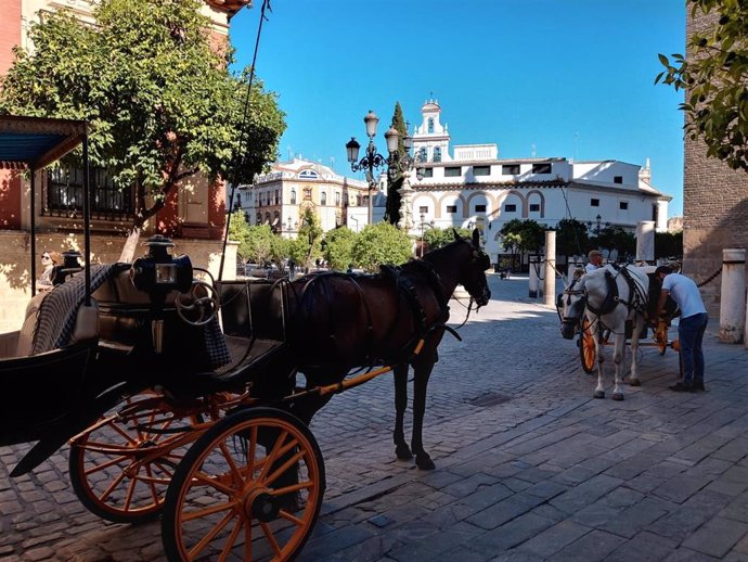 Coches de caballos estacionados a la sombra a los pies de la Giralda.