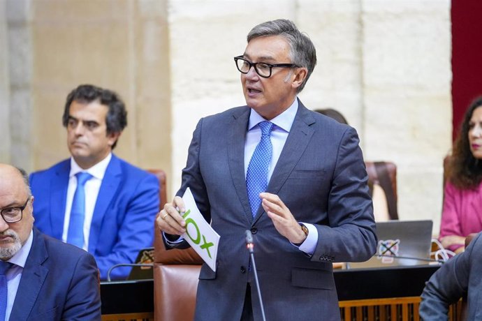 El portavoz del Grupo Parlamentario Vox, Manuel Gavira, en una foto de archivo en el Parlamento andaluz.