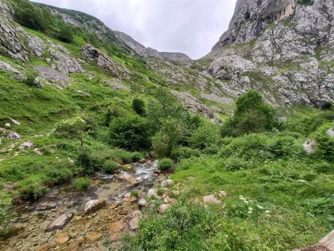 Archivo -  Picos de Europa. 