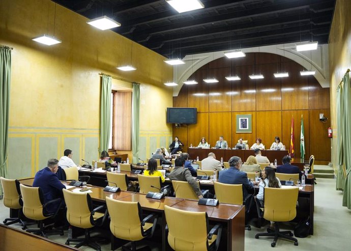 Sesión de la comisión de Presidencia, Interior, Diálogo Social y Simplificación Administrativa del Parlamento andaluz. (Foto de archivo).