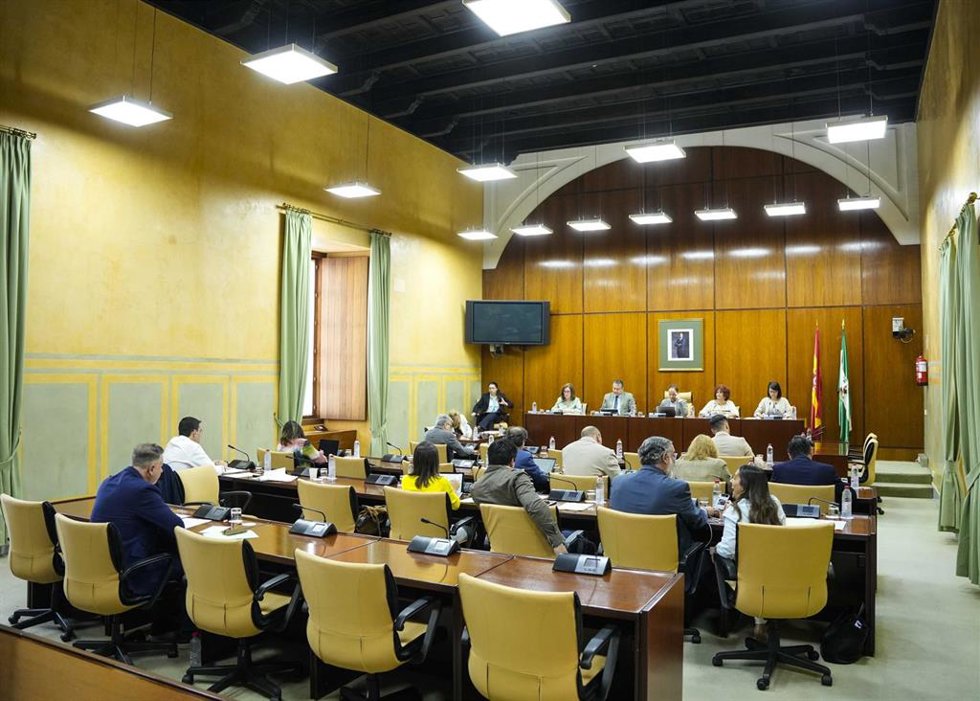 Sesión de la comisión de Presidencia, Interior, Diálogo Social y Simplificación Administrativa del Parlamento andaluz. (Foto de archivo).