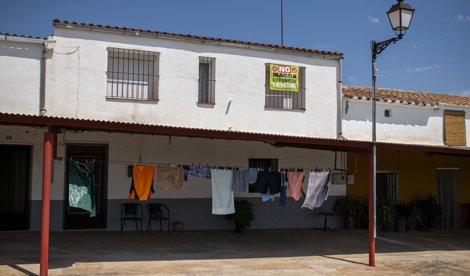 C. Valenciana
