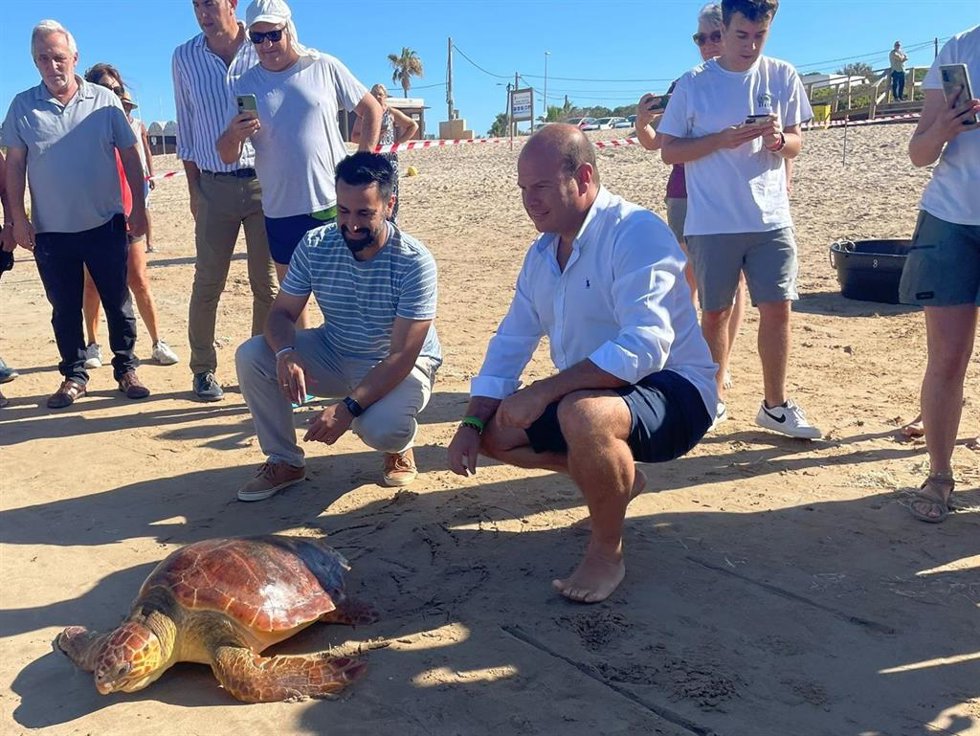 Oscar Curtido en la suelta de ejemplares de dos tortugas en la playa de las Tres Piedras en Chipiona.