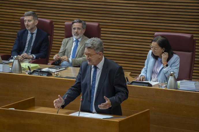 El conseller de Medi Ambient, Vicente Martínez Mus.