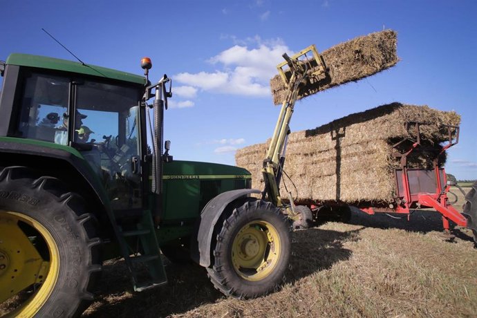 Archivo - Un tractor durante la recogida de trigo, en una imagen de archivo. 