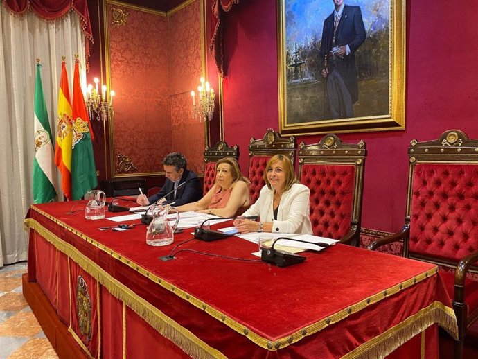 Comisión de Economía del Ayuntamiento de Granada.