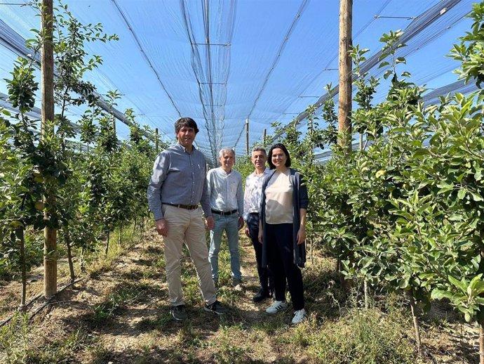 Ignasi Argilés (Nufri), Francesc Fornons (Nufri), Vicenç Bascuñana (ICF y Vanessa Servera (ICF).