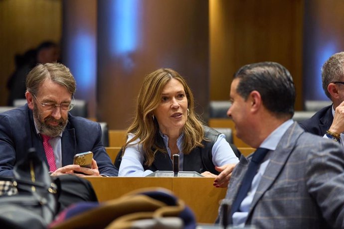 La diputada nacional del Partido Popular de Almería, Ana Martínez Labella en el Congreso.