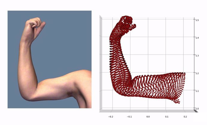 Estimación de actividad muscular con tecnología MOVE4D