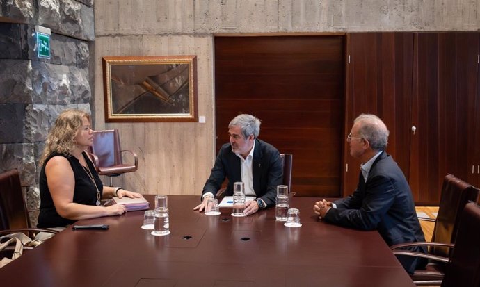 El presidente de Canarias, Fernando Clavijo, se reúne con Carmen Linares, decana del Colegio Oficial de Psicólogos de Santa Cruz de Tenerife