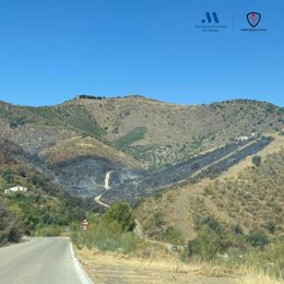 Incendio forestal en Macharaviaya