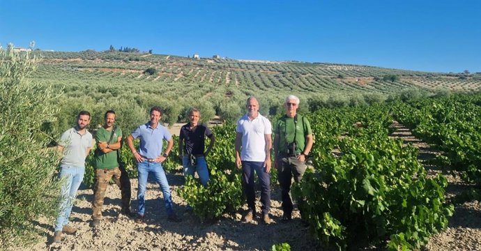 Martínez (3 dcha.) en una finca de la Campiña cordobesa donde se realiza el censo del alzacola rojizo.