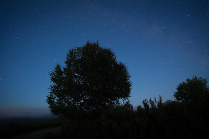 Archivo - Lluvia de Perseidas vista desde la sierra de Os Ancares, a 13 de agosto de 2023, en Lugo, Galicia (España). Las Perseidas, popularmente conocidas como las lágrimas de San Lorenzo debido a que su apogeo suele acercarse al tiempo a las festivida